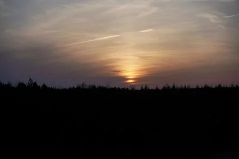 The sunset above forest trees, colored sky and clouds Stock Photos