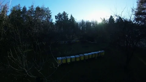 Sunset above my apiary Video stock 84209335