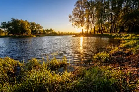 Sunset above the river with willow. Stock Photos