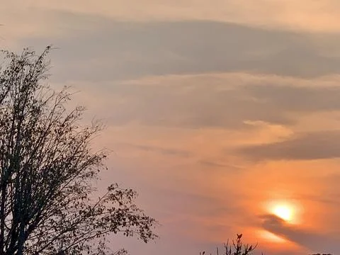 Sunset Above Tree Silhouettes with Dramatic Clouds in Jakarta Indonesia Stock Photos