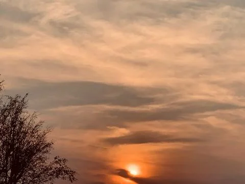 Sunset Above Tree Silhouettes with Dramatic Clouds in Jakarta Indonesia Stock Photos