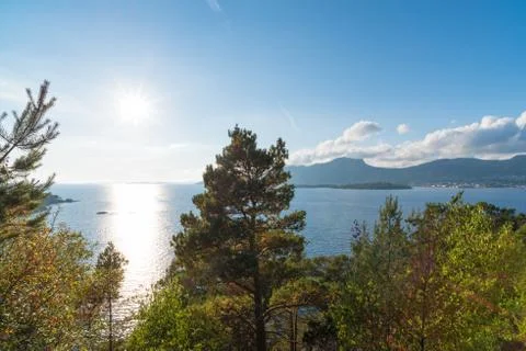 Sunset above the trees Stock Photos