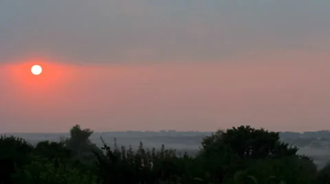 Sunset above the trees timelapse 스톡 동영상 29159444