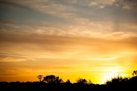 Sunset above trees, tree silhouettes, used as background or texture Stock Photos