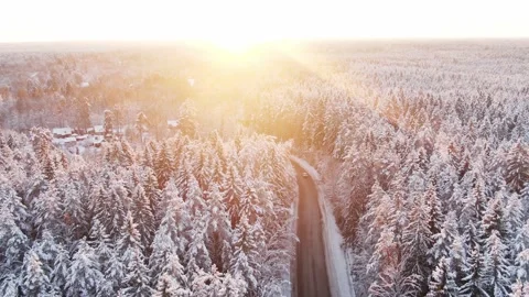 Sunset above winter snow covered forest. Stock Footage 147722966
