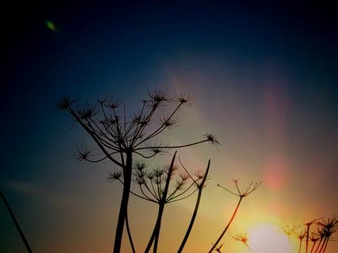 Sunset above2 Fotos de archivo