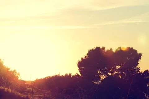 Sunset Abstact Background Stock Photos