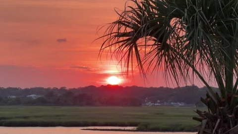Sunset across an inlet at the beach with a palm tree Stock Footage 340201881