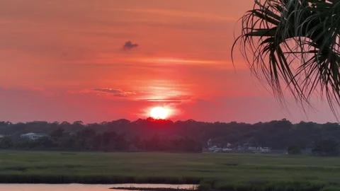 Sunset across an inlet at the beach with a palm tree Video stock 340202655