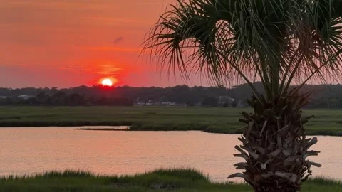Sunset across an inlet at the beach with a palm tree Video stock 340203255