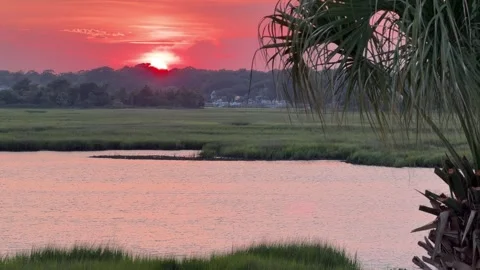 Sunset across an inlet at the beach with a palm tree Video stock 340264615