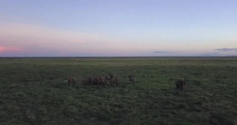Sunset aerial dusk drone flight herd elephant Tsavo Kenya Africa 2 動画素材 232826563