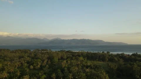 Sunset aerial flight over palm trees to the sea and mountains Stock Footage 261642582