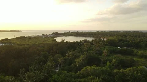 Sunset aerial flight over palm trees to the lake and mountains Stock Footage 261642908