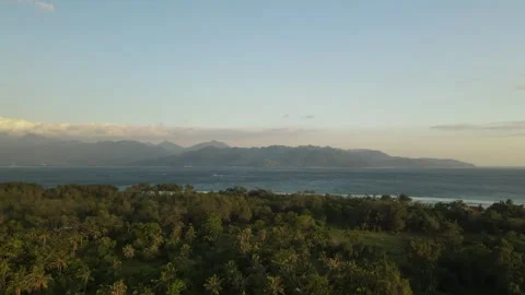 Sunset aerial flight over palm trees to the sea and mountains Stock Footage 261643337