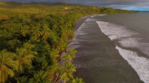 Sunset aerial pull back over palm trees and waves on Uvita Beach, Costa Rica Vídeos de archivo 328129965