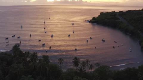Sunset Aerial Rotation of Anse à la Barque Marina in Guadeloupe Stock Footage 316424367