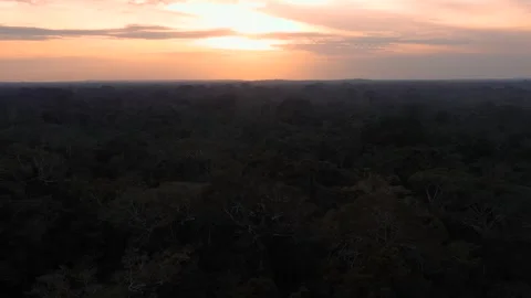 Sunset aerial view above the amazon rain forest in ecuador Stock-Footage 289389161
