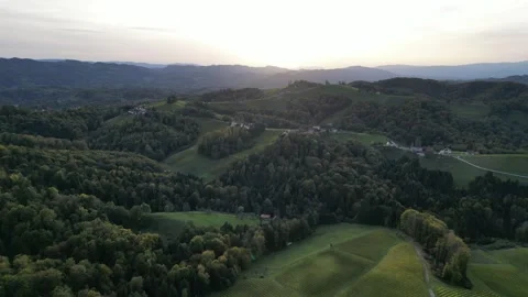Sunset Aerial View Over Vineyards in Styria, Austria Stock Footage 288025541