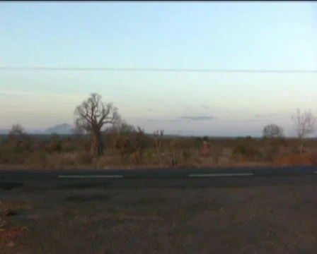 Sunset in Africa  Stock Footage 547111