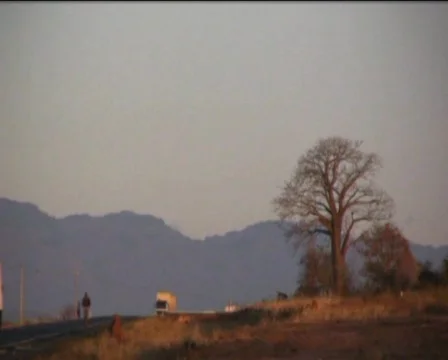 Sunset in Africa  Stock Footage 547114