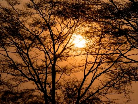 Sunset in Africa Stock Photos