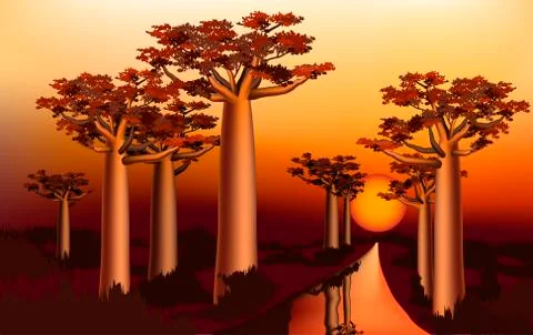 Sunset in the African baobab forest 1 Stock Illustration
