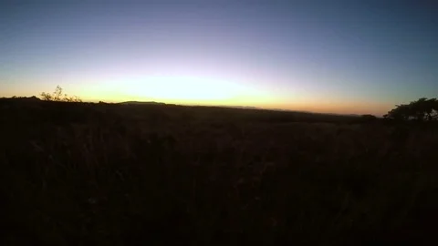 Sunset in the African bush. Stock Footage 80035678