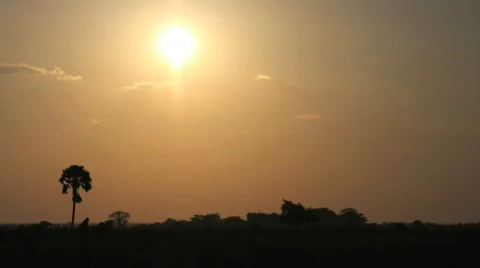Sunset african plain Stock Footage 328684