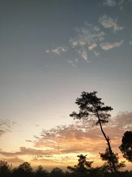Sunset in the afternoon 库存照片