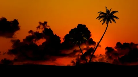 Sunset against the backdrop of palm trees and clouds, time-lapse Stock Footage 91300910