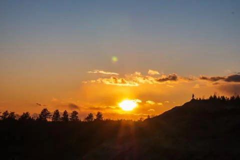 Sunset against the backdrop of tree tops. Stock Photos