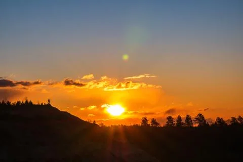 Sunset against the backdrop of tree tops. Stock Photos