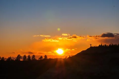 Sunset against the backdrop of tree tops. Foto stock