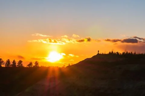 Sunset against the backdrop of tree tops. Stock Photos