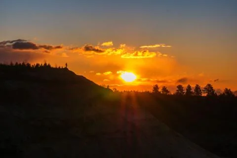 Sunset against the backdrop of tree tops. Stock Photos