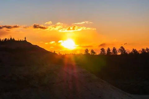 Sunset against the backdrop of tree tops. Stock Photos