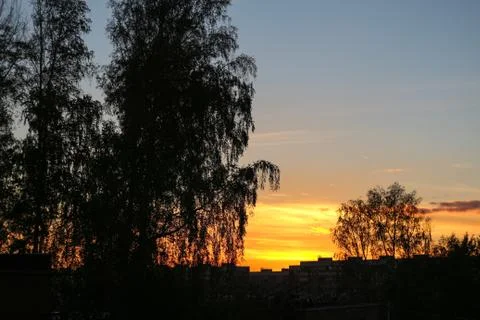 Sunset against the background of trees and houses Stock Photos