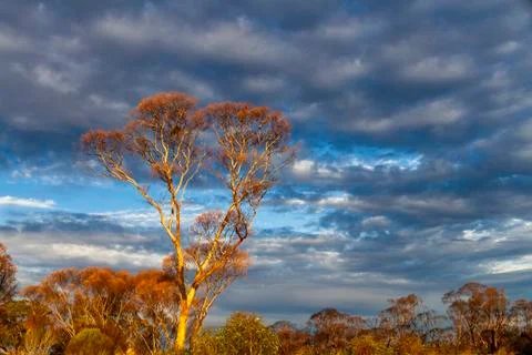 Sunset against a dramatic sky Foto stock