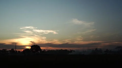 Sunset in agricultural area Stock Footage 264157329
