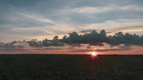 Sunset at agricultural field Video stock 167854581