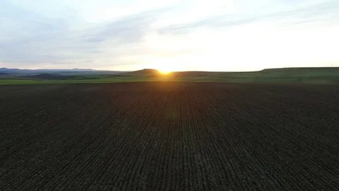 Sunset on agriculture field, aerial views from drone Stock Footage