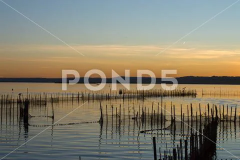 Sunset in Albufera Stock Photos