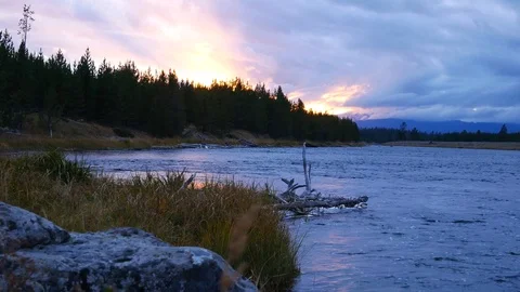 Sunset along the Madison River in Yellowstone National Park (Wyoming). Stock Footage 122689033