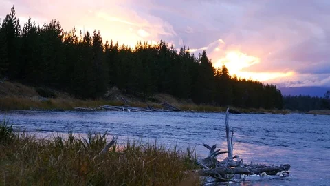 Sunset along the Madison River in Yellowstone National Park (Wyoming). Stock Footage 122689255