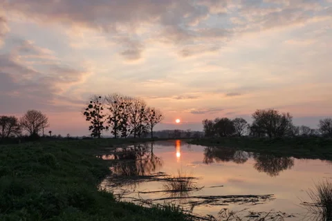 Sunset along the swamps Stock-Footage 315966871