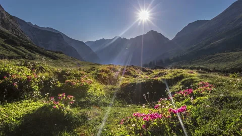 Sunset alps mou meadow 動画素材 138317085