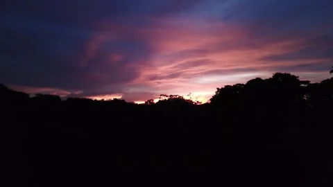 Sunset in the Amazon Video stock 254014135
