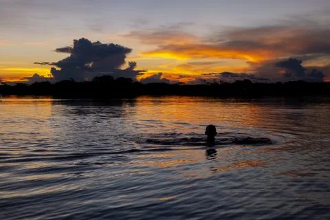 Sunset in the amazon river Stock Photos