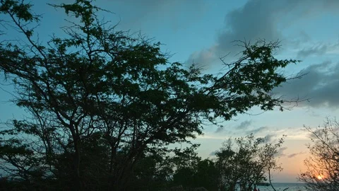 Sunset ambient Stock Footage 87142107